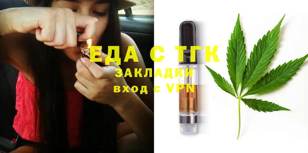 гидра Тында